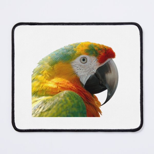 Item preview, Parrot designed and sold by Robert-Store.