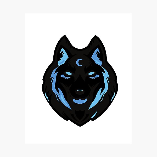 "Black wolf with blue eyes" Photographic Print for Sale by TanujaSharma