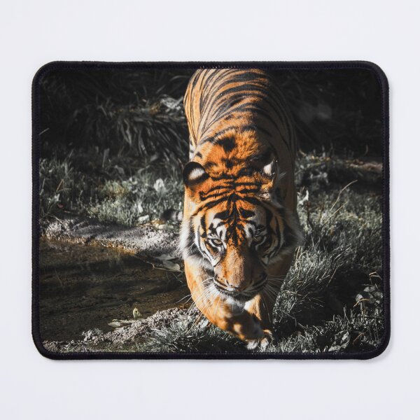 Item preview, Bengal Tiger On The Hunt designed and sold by AnimalLover4eva.