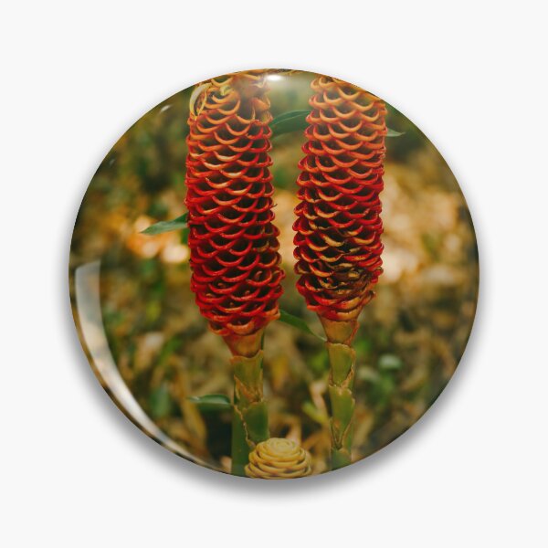 Item preview, beehive ginger flower designed and sold by luisquevedop.