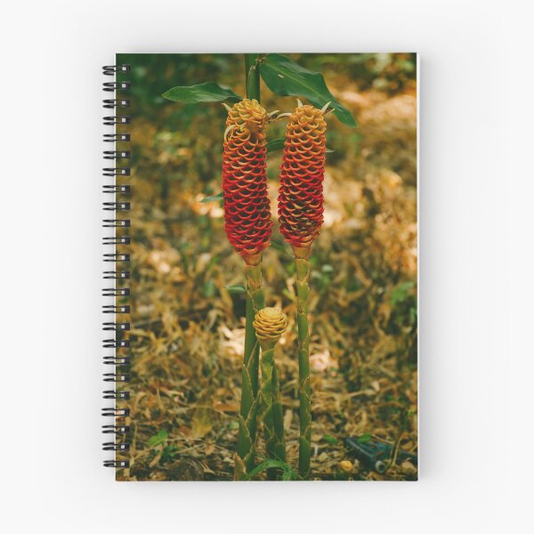Item preview, beehive ginger flower designed and sold by luisquevedop.