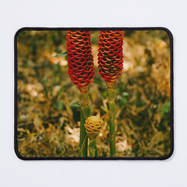 Item preview, beehive ginger flower designed and sold by luisquevedop.