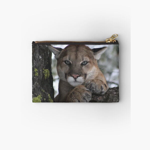 Item preview, Cougar (Mountain Lion) Photograph designed and sold by AnimalLover4eva.