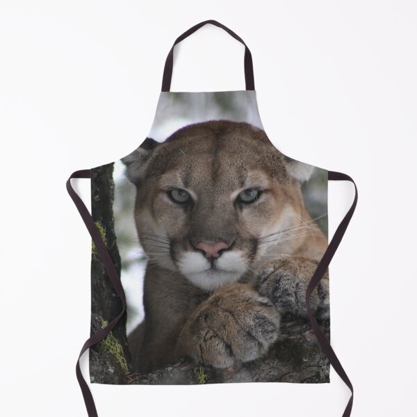 Item preview, Cougar (Mountain Lion) Photograph designed and sold by AnimalLover4eva.
