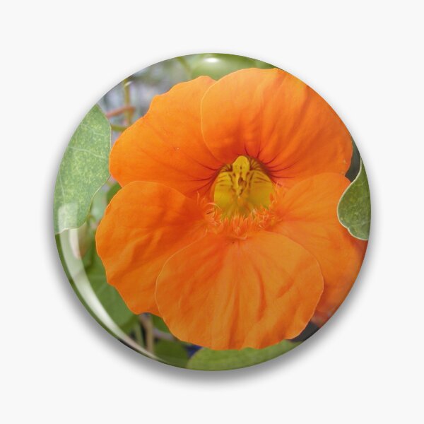 Item preview, Nasturtium Orange Flower designed and sold by MottoDigging.