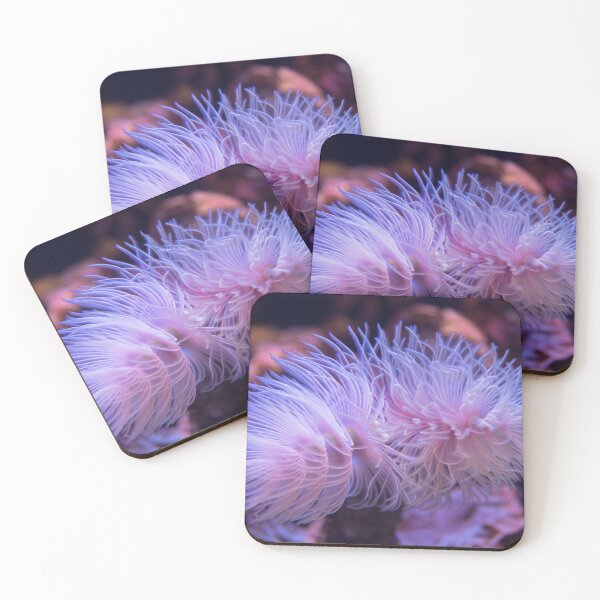 Item preview, Purple Sea Anemone designed and sold by silviaol.