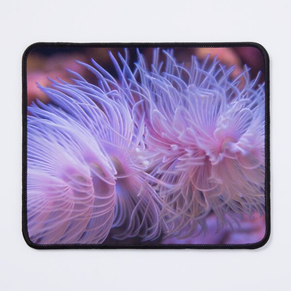 Item preview, Purple Sea Anemone designed and sold by silviaol.