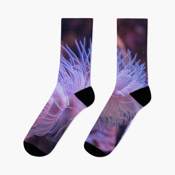 Item preview, Purple Sea Anemone designed and sold by silviaol.