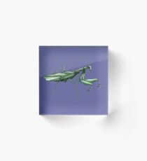 Praying Mantis Acrylic Block