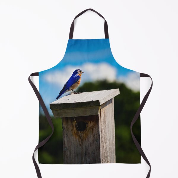 Item preview, Bluebird On Nest Box designed and sold by Robert Alsop.