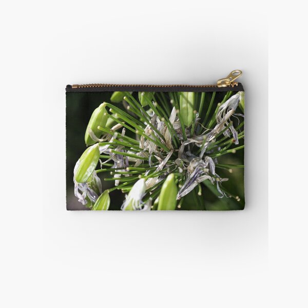 Item preview, Ageing Agapanthus designed and sold by Joy Watson - Natural Light Photography .
