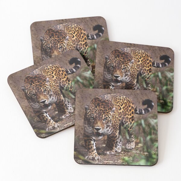 Artikelvorschau, Leopard entworfen und verkauft von AnimalLover4eva.