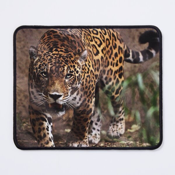 Item preview, Leopard designed and sold by AnimalLover4eva.