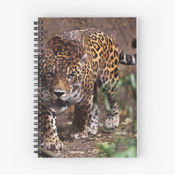 Item preview, Leopard designed and sold by AnimalLover4eva.