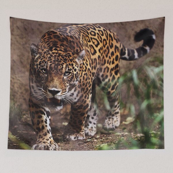 Item preview, Leopard designed and sold by AnimalLover4eva.