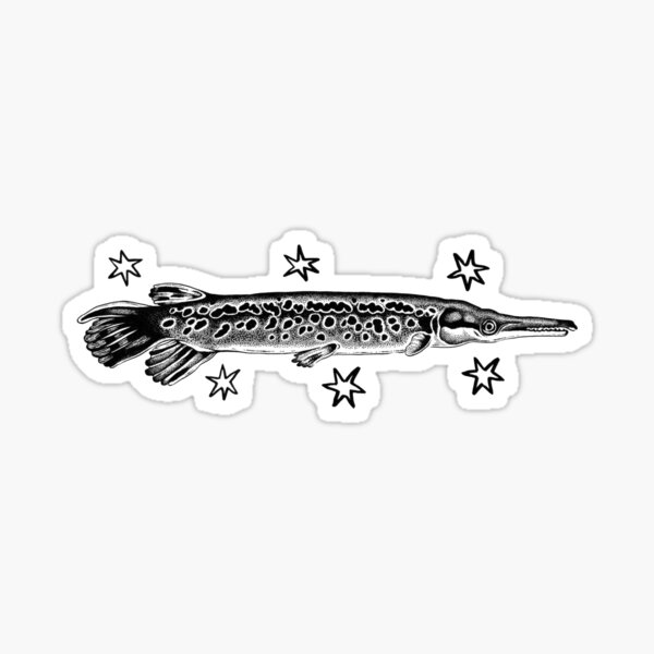 Bowfishing Vinyl Decal Sticker LONGNOSE GAR NEEDLENOSE Bow Fish