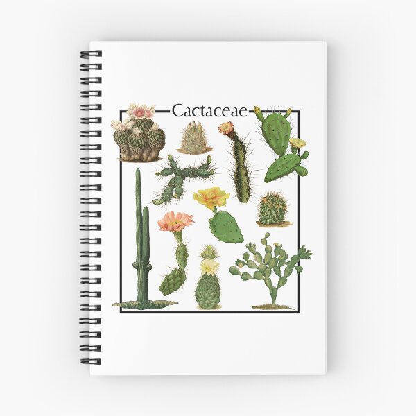 Item preview, Cactus Cactaceae Botanical Print designed and sold by SubtleSoul.