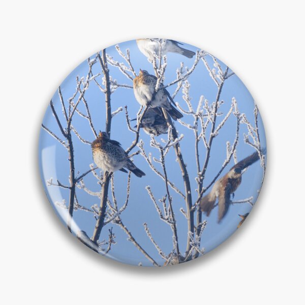 Item preview, Birds on Frozen Branches designed and sold by denis-romanov.