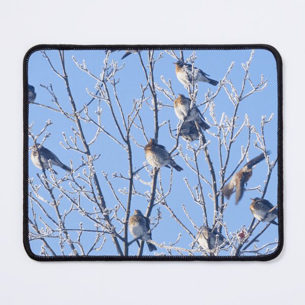 Item preview, Birds on Frozen Branches designed and sold by denis-romanov.