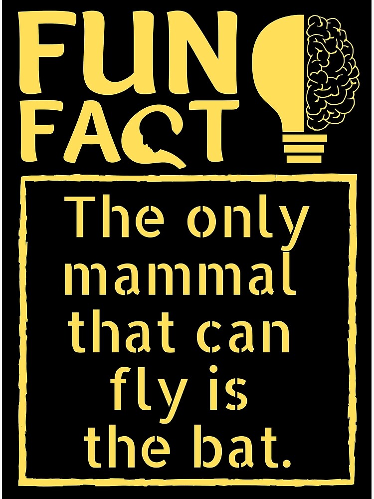 "The only mammal that can fly is the bat. Fun fact of the day 2