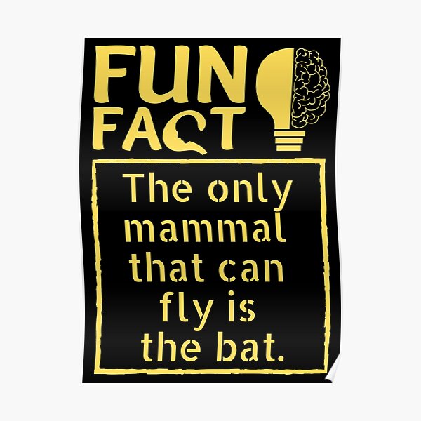 the-only-mammal-that-can-fly-is-the-bat-fun-fact-of-the-day-2