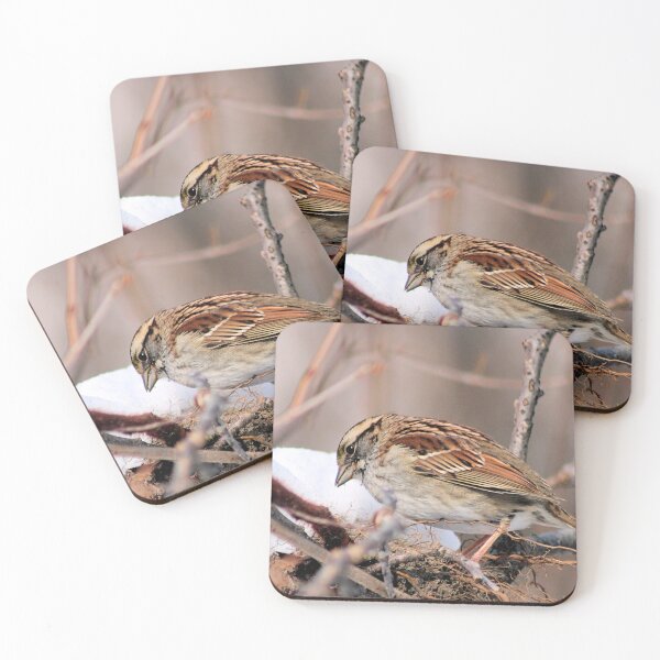 Item preview, SPARROW 1 designed and sold by BOLLA67.