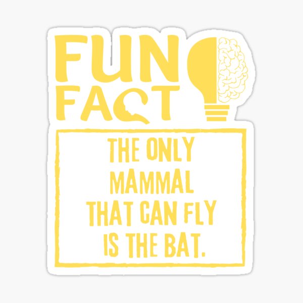 "The only mammal that can fly is the bat. Fun fact of the day 2