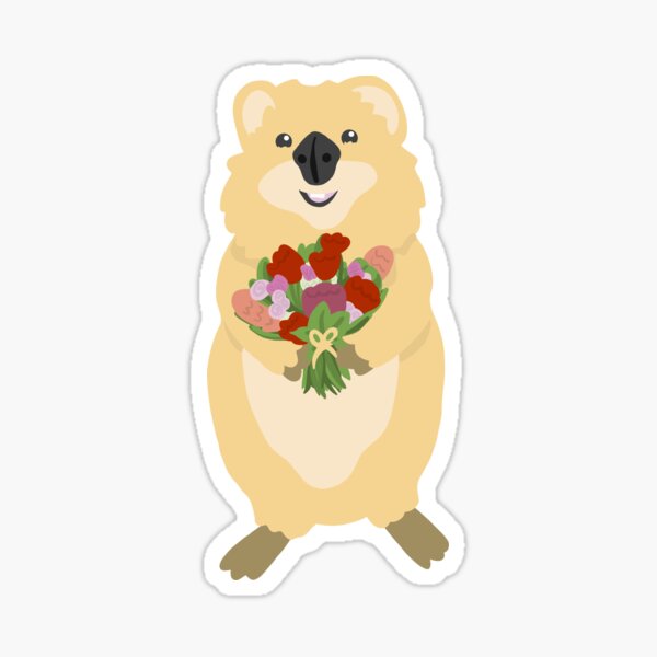 Item preview, Quokka designed and sold by Tilly Scribbles.