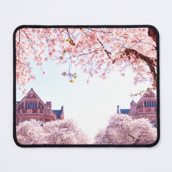Item preview, Cherry blossoms of Settle designed and sold by MrPotato-Museum.