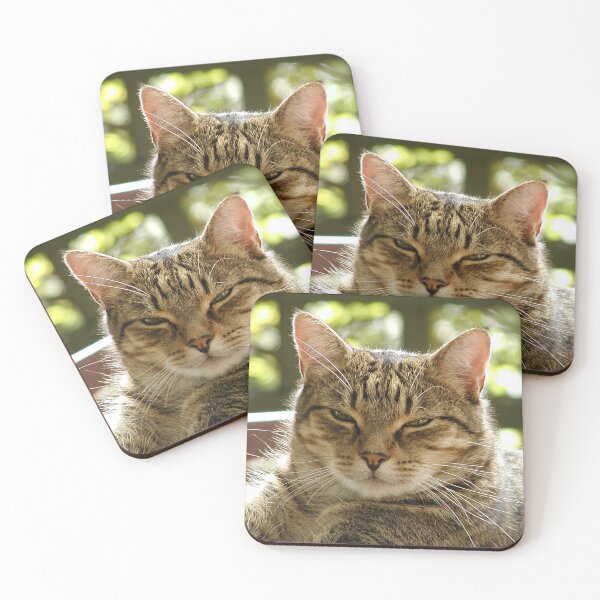 Item preview, King Tiggy The Cat Looking Smug designed and sold by MottoDigging.