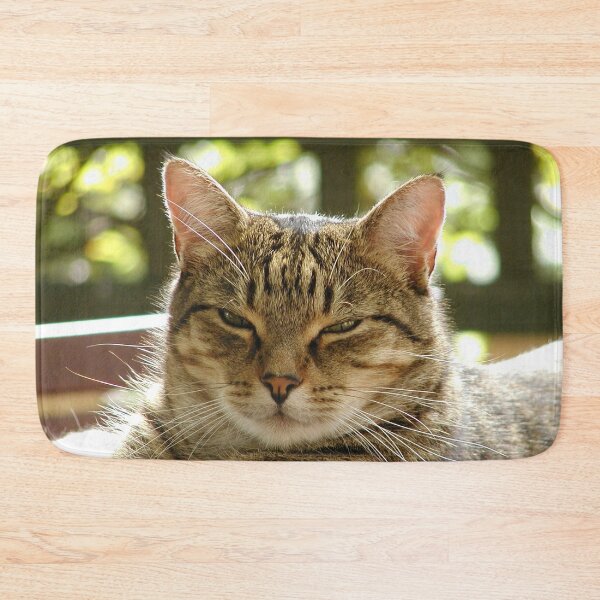Item preview, King Tiggy The Cat Looking Smug designed and sold by MottoDigging.
