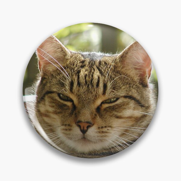 Item preview, King Tiggy The Cat Looking Smug designed and sold by MottoDigging.