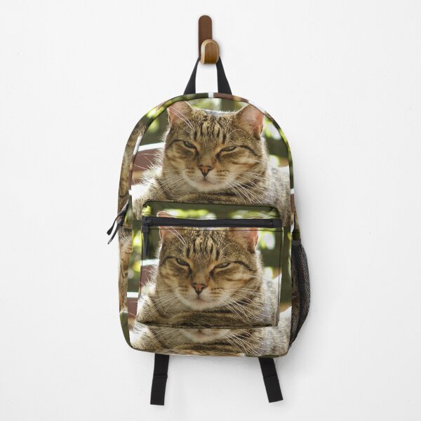 Item preview, King Tiggy The Cat Looking Smug designed and sold by MottoDigging.