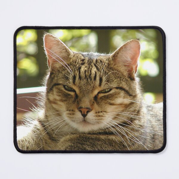 Item preview, King Tiggy The Cat Looking Smug designed and sold by MottoDigging.
