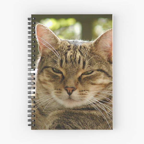 Item preview, King Tiggy The Cat Looking Smug designed and sold by MottoDigging.