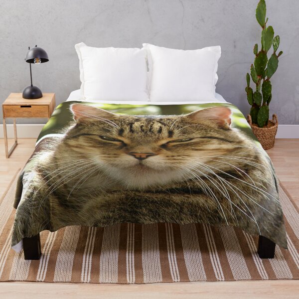 Item preview, King Tiggy The Cat Looking Smug designed and sold by MottoDigging.
