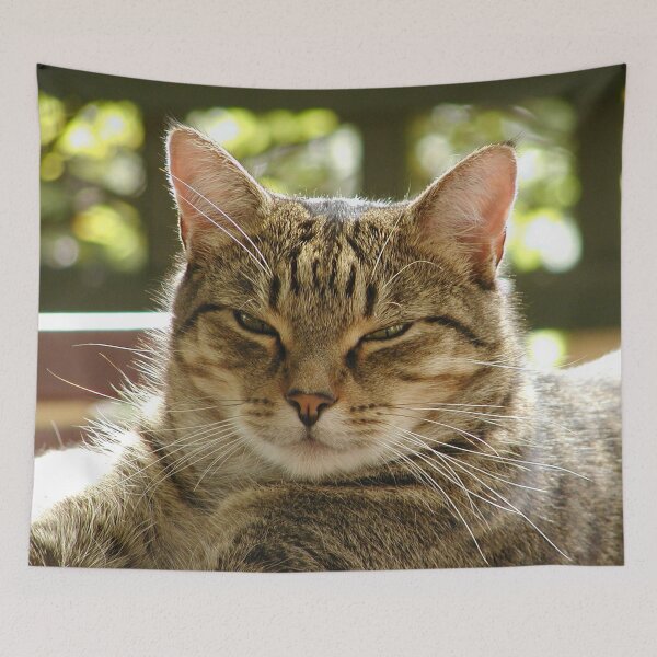 Item preview, King Tiggy The Cat Looking Smug designed and sold by MottoDigging.