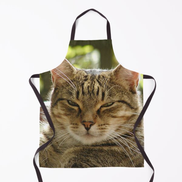 Item preview, King Tiggy The Cat Looking Smug designed and sold by MottoDigging.