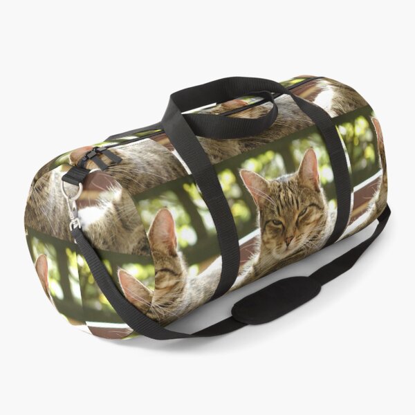 Item preview, King Tiggy The Cat Looking Smug designed and sold by MottoDigging.