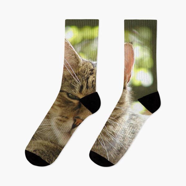 Item preview, King Tiggy The Cat Looking Smug designed and sold by MottoDigging.