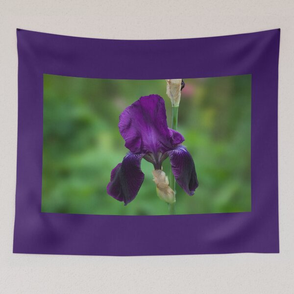 Item preview, Iris Purple Velvet  designed and sold by Alisonchambers2.