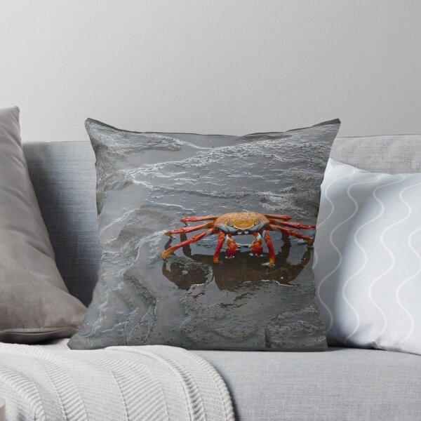 Item preview, Sally Lightfoot Crab designed and sold by dare2go.