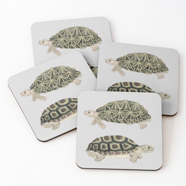 Item preview, Vintage Tortoises designed and sold by NineVi.