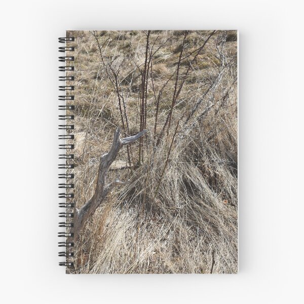 Item preview, Dry stems and grass on a meadow designed and sold by mariya-ivanova.