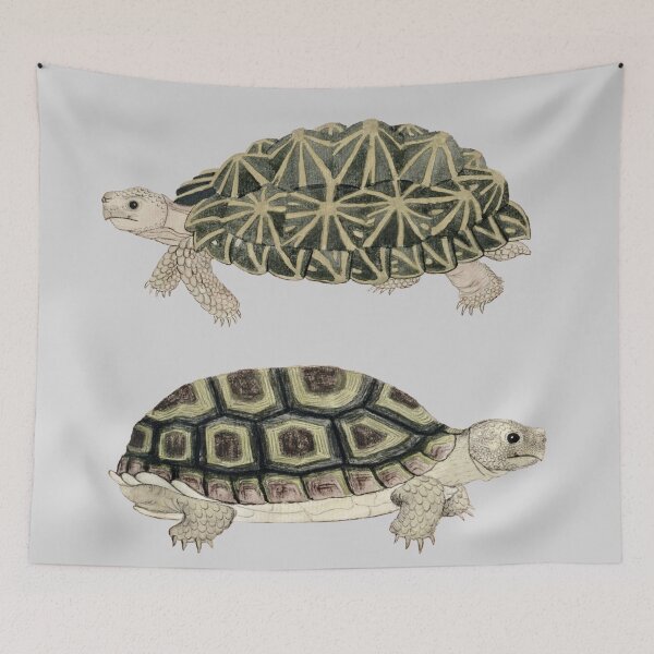 Item preview, Vintage Tortoises designed and sold by NineVi.