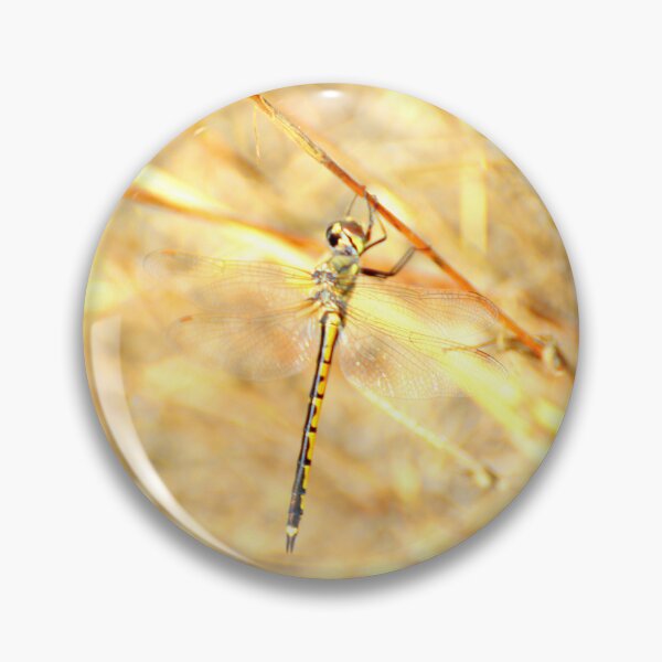 Item preview, Dragonfly in golden grasses designed and sold by imaginethis.