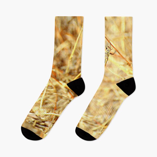 Item preview, Dragonfly in golden grasses designed and sold by imaginethis.