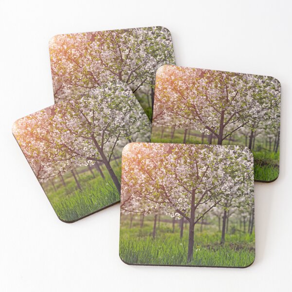 Item preview, cherry orchard trees in springtime agriculture designed and sold by goceris.
