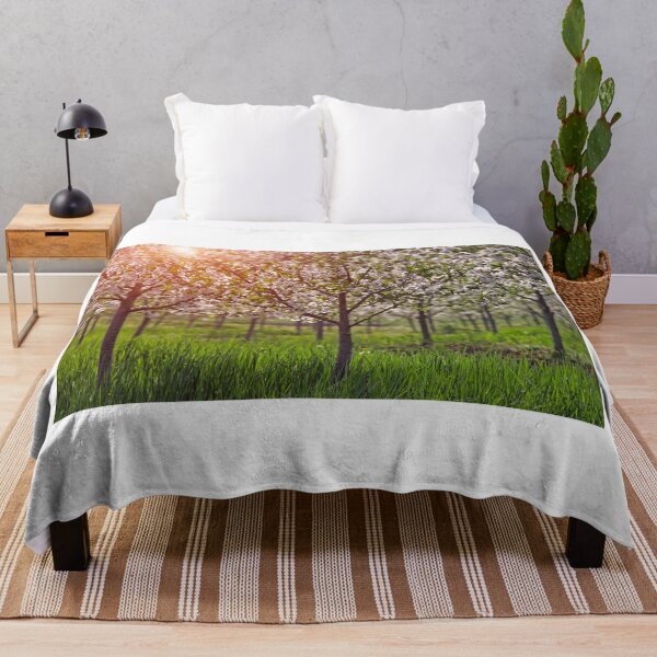 Item preview, cherry orchard trees in springtime agriculture designed and sold by goceris.