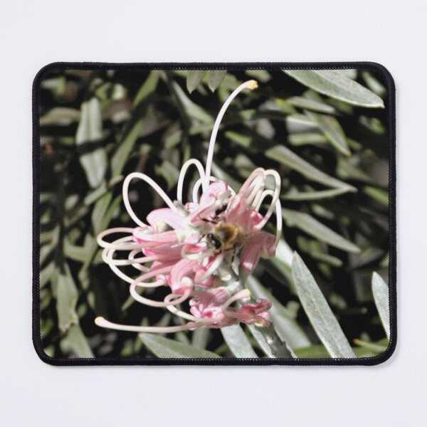 Item preview, Australian Spider flower (Grevilleas) and Bee designed and sold by MottoDigging.